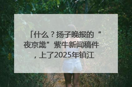 什么？扬子晚报的“夜京畿”紫牛新闻稿件，上了2025年镇江中考模拟卷！