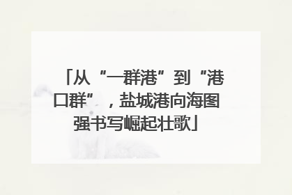 从“一群港”到“港口群”，盐城港向海图强书写崛起壮歌