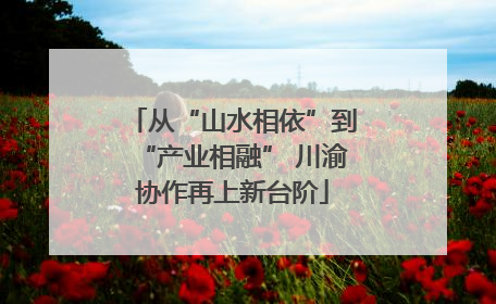 从“山水相依”到“产业相融” 川渝协作再上新台阶