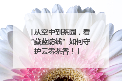 从空中到茶园，看“藏蓝防线”如何守护云雾茶香！