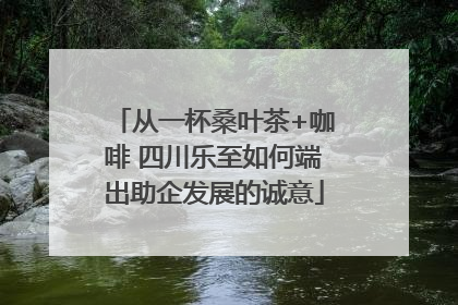 从一杯桑叶茶+咖啡 四川乐至如何端出助企发展的诚意