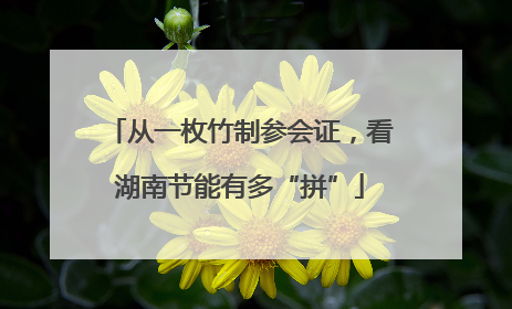 从一枚竹制参会证，看湖南节能有多“拼”