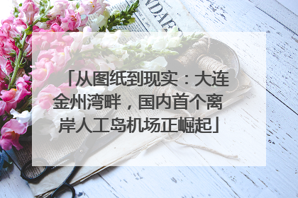 从图纸到现实：大连金州湾畔，国内首个离岸人工岛机场正崛起