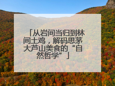 从岩间当归到林间土鸡，解码思茅大芦山美食的“自然哲学”