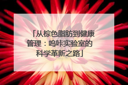 从棕色脂肪到健康管理：呜咔实验室的科学革新之路