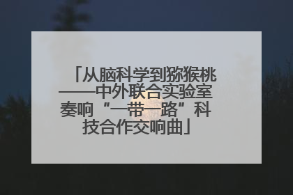 从脑科学到猕猴桃——中外联合实验室奏响“一带一路”科技合作交响曲