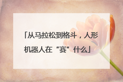 从马拉松到格斗，人形机器人在“赛”什么