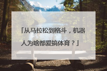 从马拉松到格斗，机器人为啥都爱搞体育？