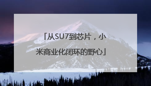 从SU7到芯片，小米商业化闭环的野心