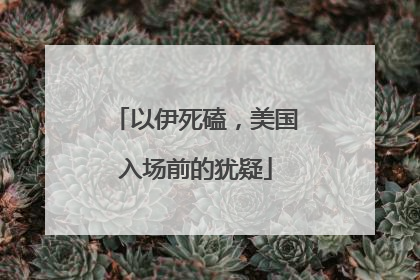 以伊死磕，美国入场前的犹疑