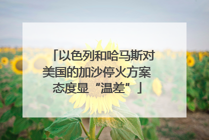 以色列和哈马斯对美国的加沙停火方案态度显“温差”