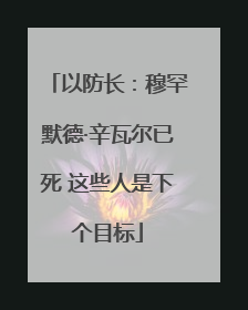 以防长：穆罕默德·辛瓦尔已死 这些人是下个目标