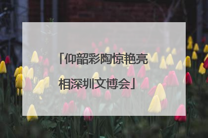 仰韶彩陶惊艳亮相深圳文博会