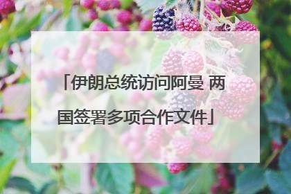伊朗总统访问阿曼 两国签署多项合作文件