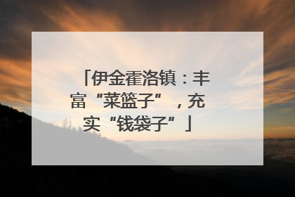 伊金霍洛镇：丰富“菜篮子”，充实“钱袋子”