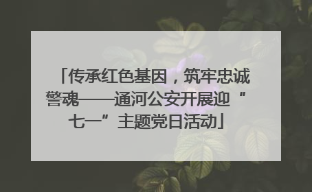 传承红色基因，筑牢忠诚警魂——通河公安开展迎“七一”主题党日活动