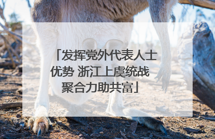 发挥党外代表人士优势 浙江上虞统战聚合力助共富
