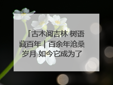 古木阅吉林 树语藏百年｜百余年沧桑岁月 如今它成为了“镇园之宝”
