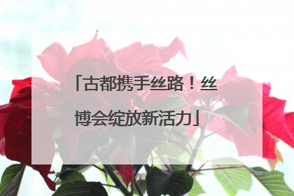 古都携手丝路！丝博会绽放新活力