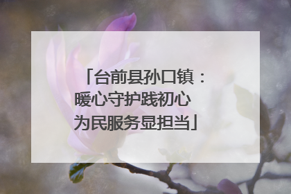 台前县孙口镇：暖心守护践初心 为民服务显担当