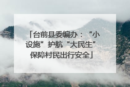 台前县委编办：“小设施”护航“大民生” 保障村民出行安全