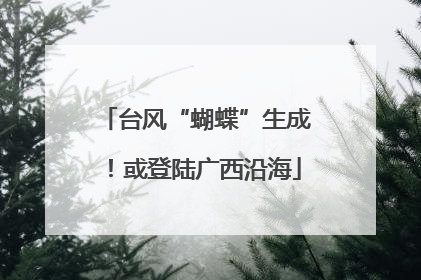 台风“蝴蝶”生成！或登陆广西沿海