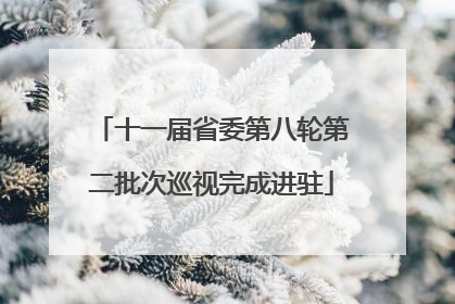 十一届省委第八轮第二批次巡视完成进驻