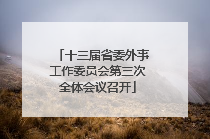 十三届省委外事工作委员会第三次全体会议召开