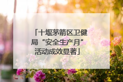 十堰茅箭区卫健局“安全生产月”活动成效显著