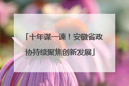 十年谋一谏！安徽省政协持续聚焦创新发展