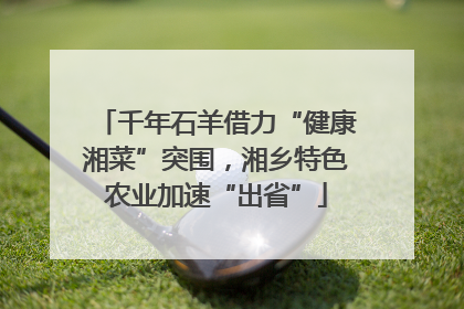 千年石羊借力“健康湘菜”突围，湘乡特色农业加速“出省”