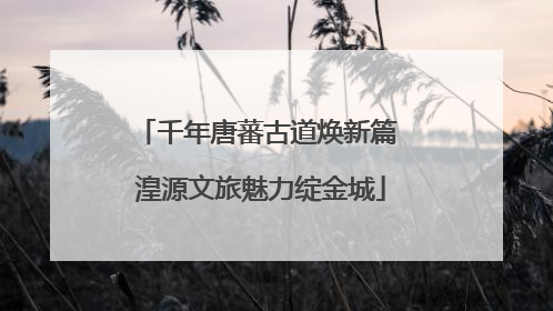千年唐蕃古道焕新篇 湟源文旅魅力绽金城