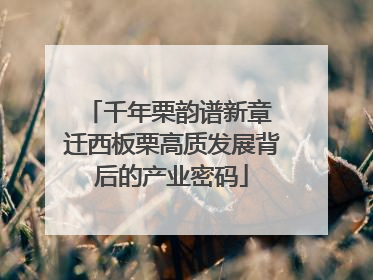 千年栗韵谱新章 迁西板栗高质发展背后的产业密码