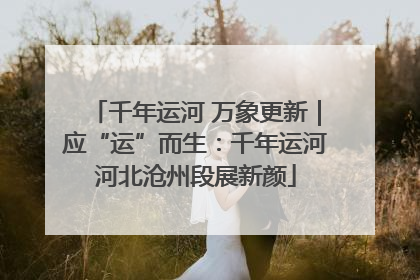 千年运河 万象更新｜应“运”而生：千年运河河北沧州段展新颜