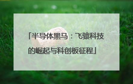 半导体黑马：飞骧科技的崛起与科创板征程
