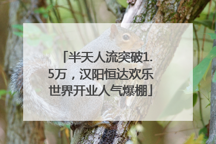 半天人流突破1.5万，汉阳恒达欢乐世界开业人气爆棚