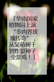 华南国家植物园上演“多肉界玫瑰传奇”，从呆萌树干到炸裂种子全是戏！