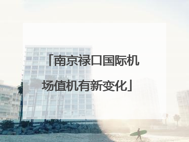 南京禄口国际机场值机有新变化