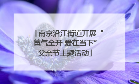 南京沿江街道开展“爸气全开 爱在当下”父亲节主题活动