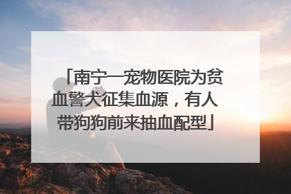 南宁一宠物医院为贫血警犬征集血源，有人带狗狗前来抽血配型