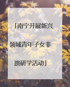 南宁开展新兴领域青年子女非遗研学活动
