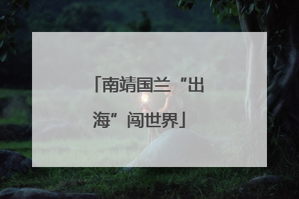 南靖国兰“出海”闯世界