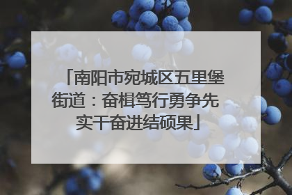 南阳市宛城区五里堡街道：奋楫笃行勇争先 实干奋进结硕果