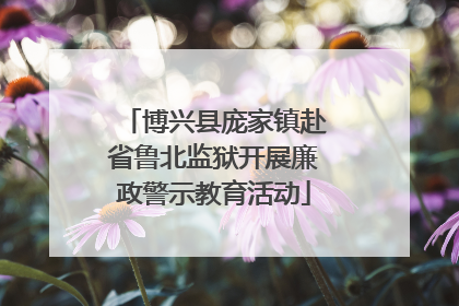 博兴县庞家镇赴省鲁北监狱开展廉政警示教育活动