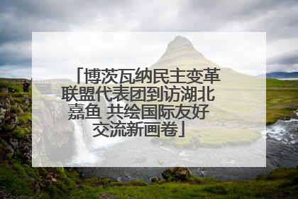 博茨瓦纳民主变革联盟代表团到访湖北嘉鱼 共绘国际友好交流新画卷