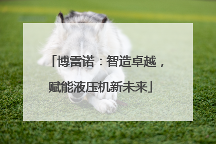 博雷诺：智造卓越，赋能液压机新未来