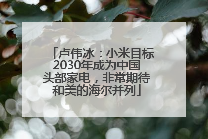 卢伟冰：小米目标2030年成为中国头部家电，非常期待和美的海尔并列