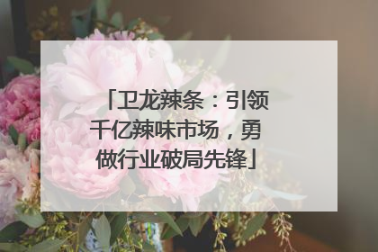 卫龙辣条：引领千亿辣味市场，勇做行业破局先锋