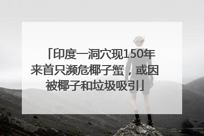 印度一洞穴现150年来首只濒危椰子蟹，或因被椰子和垃圾吸引