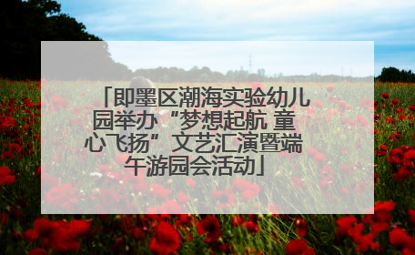 即墨区潮海实验幼儿园举办“梦想起航 童心飞扬”文艺汇演暨端午游园会活动